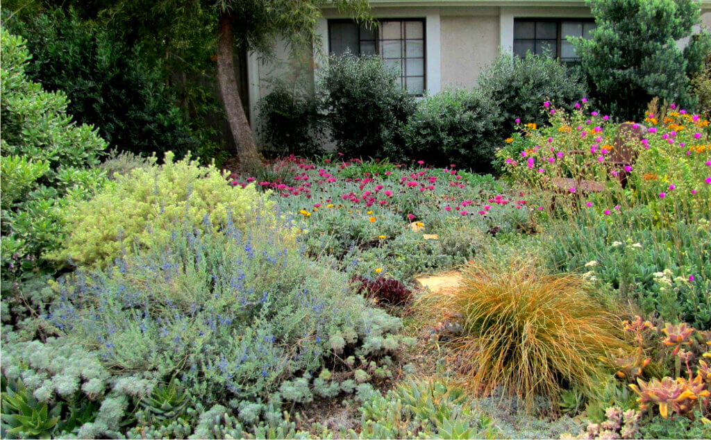 10 Unique Outdoor Water Conservation Strategies
