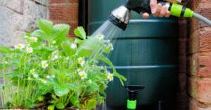 Practice Water Conservation at Home