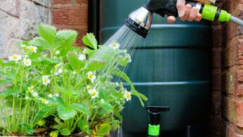 Practice Water Conservation at Home